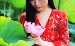 快乐大本营网上直播